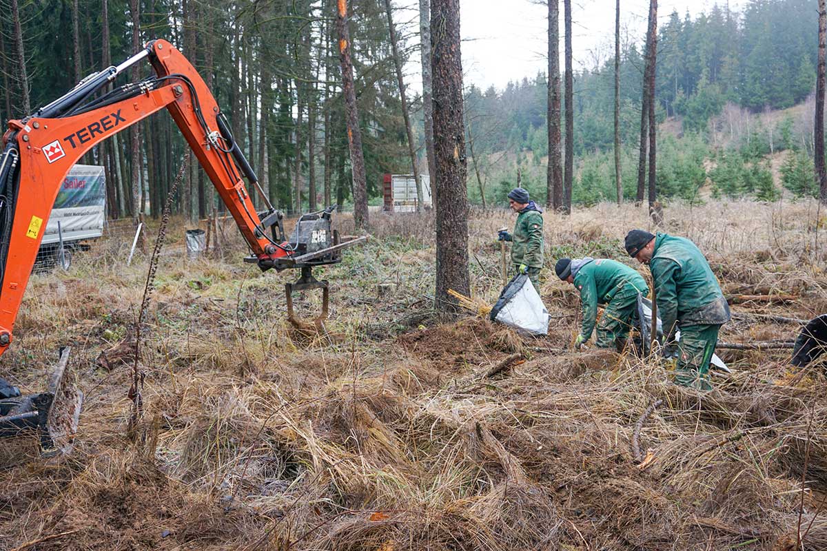 kruemlerpflanzumg-sailer