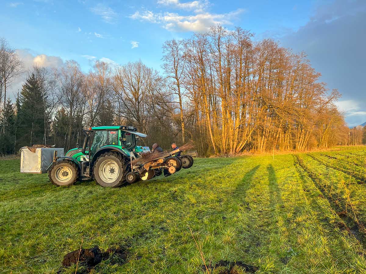maschinelle-erstaufforstung-sailer